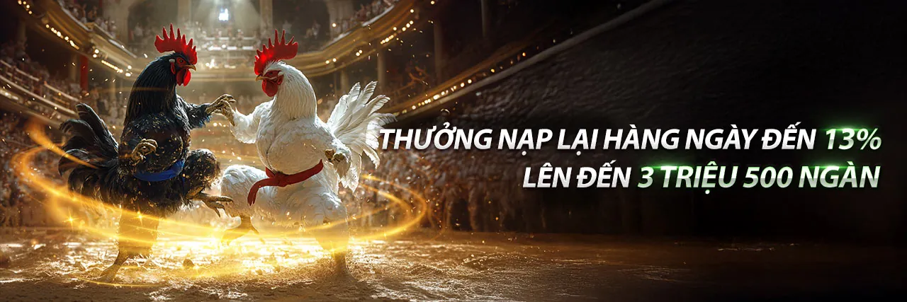 Đá Gà 8s Khuyến Mãi